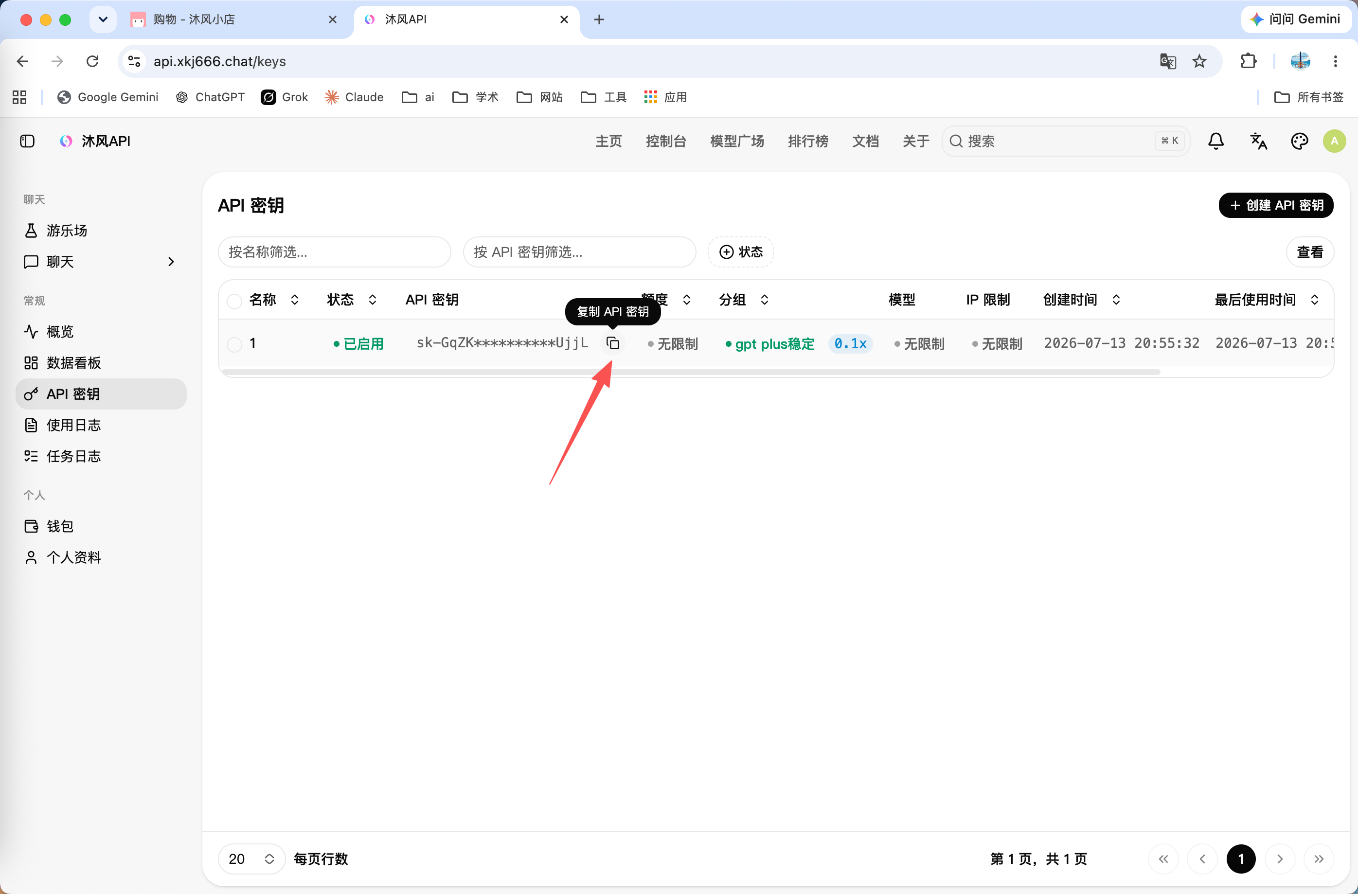 复制 API 密钥